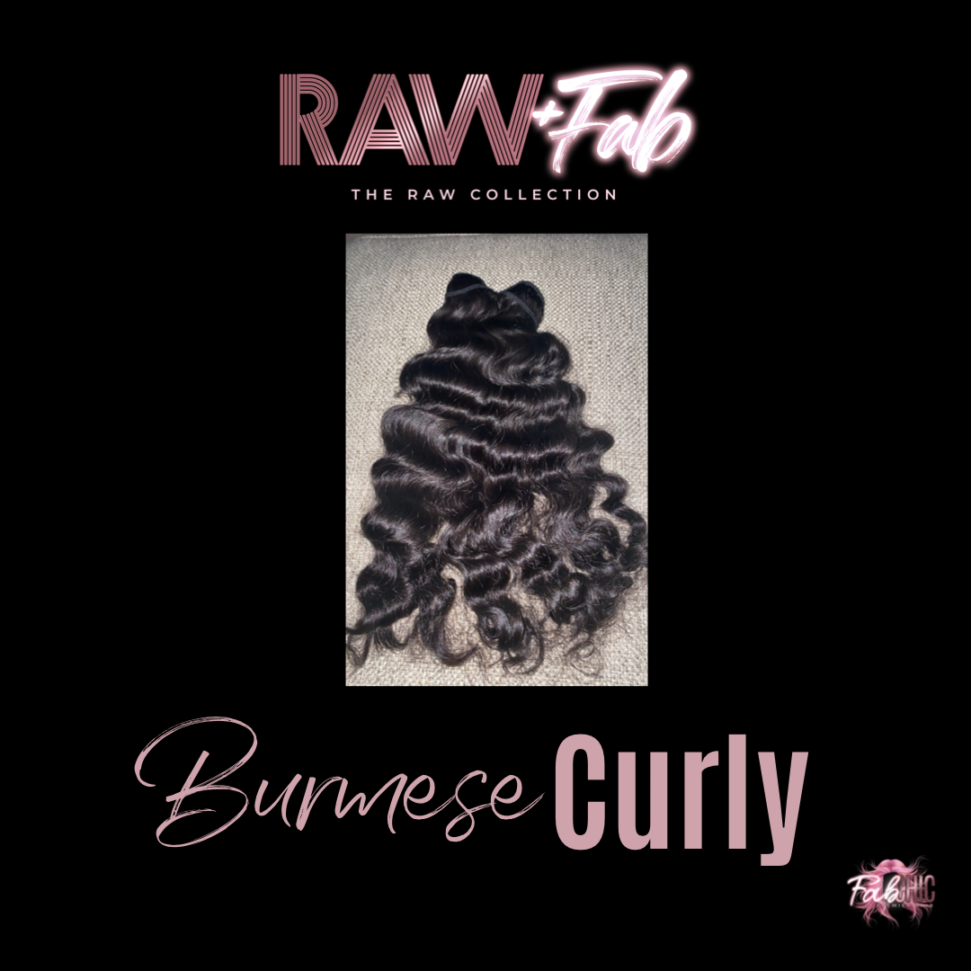Burmese Curly